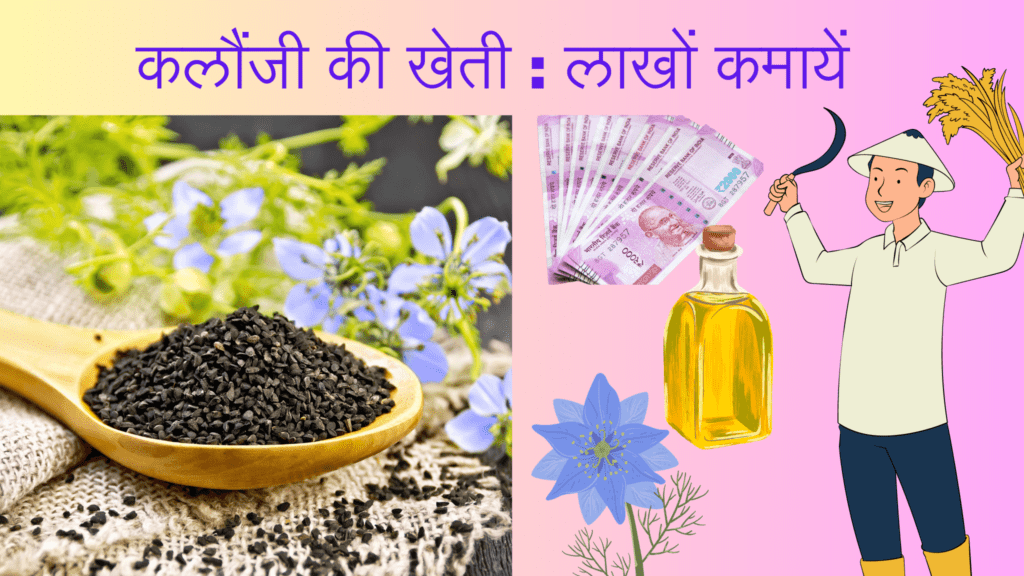 कलौंजी की खेती Nigella farming in hindi