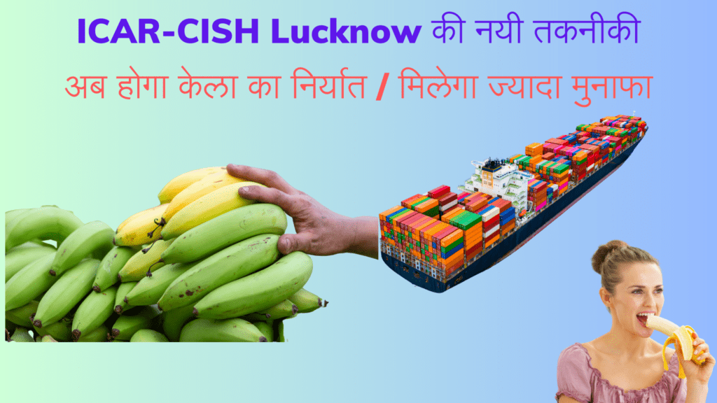 ICAR-CISH Technology for banana export@WET WASH