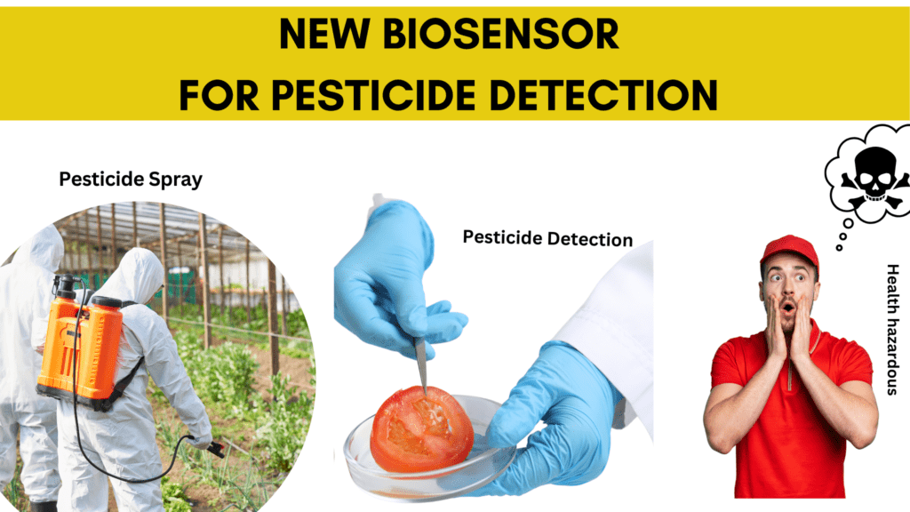 Biodegradable sensor for detection of pesticides in fruits, vegetables and water