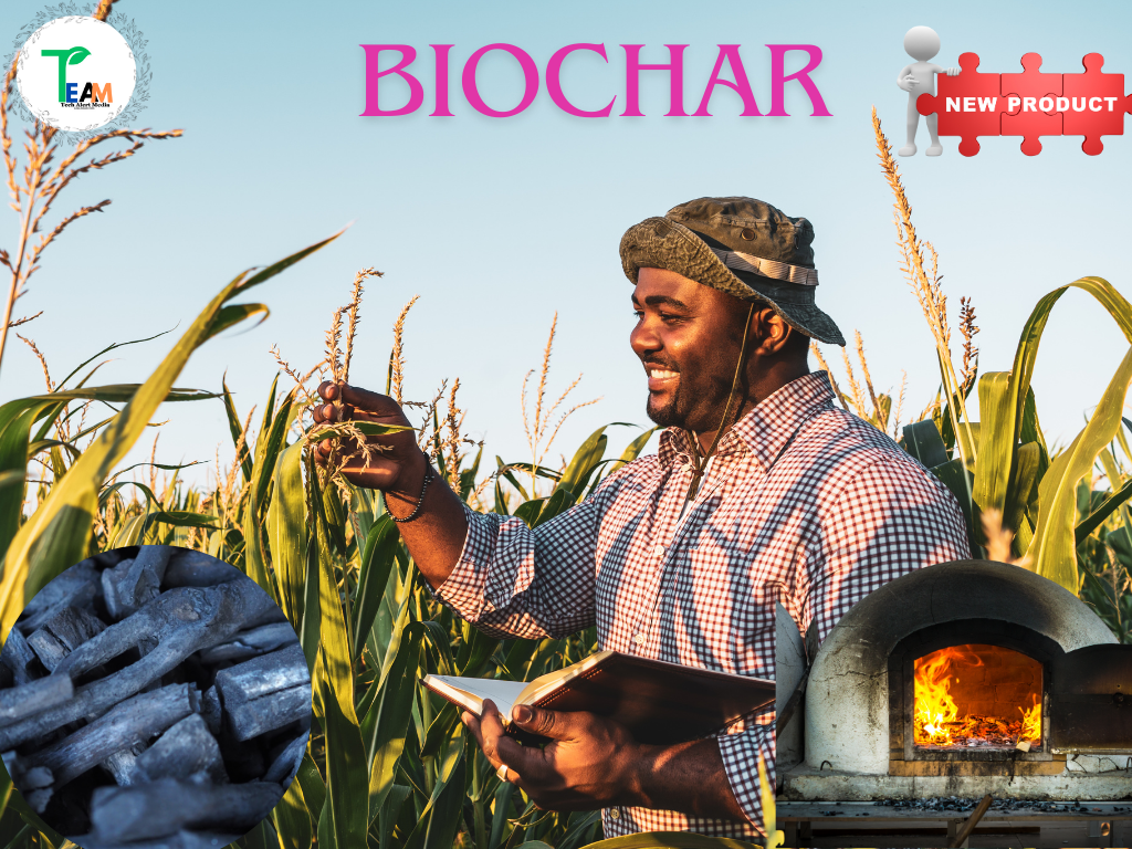 Biochar and soil fertility