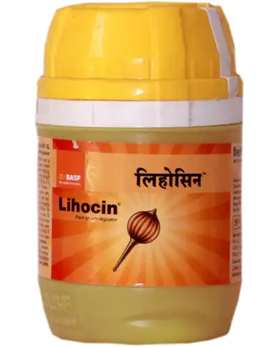 Lihocin